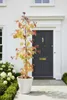 Cercis canadensis 'Eternal Flame' 160–170 cm – Produktbild-Vorschau 4