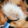 Trymer dla psów do kołtunów sierści szczotka grzebień Podgląd zdjęcia produktu 3