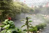 Topchances Ultraschall-Nebelmaschine Fogger, Nebelmaschine Produktbild-Vorschau 4