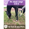Führkette für Pferde  Eisenkette & Nylon Handgriff, Produktbild-Vorschau 2