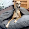 4L Textil Hundebett große Hunde waschbar Hundehöhle Produktbild-Vorschau 3