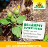 Neudorff Promanal Neu Austriebsspritzmittel 500 ml Produktbild-Vorschau 6