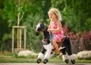 Ponnie Mechanisches Pferd auf Rollen Domino S, Reitpferd Produktbild-Vorschau 10