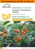 SAFLAX Garden in the bag - Tropischer Tomatenbaum / Produktbild-Vorschau 1
