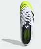 Schuhe Adidas Predator FG/MG für Herren Produktbild-Vorschau 25