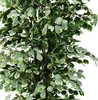 Ficus Benjamin breza figová umelá rastlina umelý strom Náhľad obrázku produktu 2