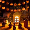 Guirlande lumineuse LED Halloween citrouille 3D, 4,5m de Voir les images du produit 16