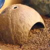 Terrario CocoCave L - cocco mezzo liscio Terrario Anteprima dell’immagine prodotto 11
