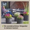 Pflanzsäcke 3 x 30 Liter + 3 x 60 Liter Set zooprinz | 260 Produktbild-Vorschau 5