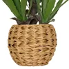 Pianta d'agave artificiale, in vaso di plastica, altezza 61 Anteprima dell’immagine prodotto 3