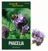 Phacelia Bienenfreund Samen 3 g - Phacelia tanacetifolia - Produktbild-Vorschau 1