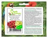 100x Riesen Wald Erdbeeren Gemischt Mix Obst Pflanzen - Produktbild-Vorschau 1