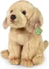 RAPPA Plyšový labrador na sedenie 27 cm ECO-FRIENDLY Náhľad obrázku produktu 1