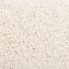 Vidaxl -Treppenmatten 15 ST 65x21x4 cm Weiß Podgląd zdjęcia produktu 15