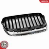 ESEN SKV 66SKV182 Kühlergrill Frontgrill für BMW 5 Touring Produktbild-Vorschau 7