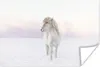 MuchoWow® Poster Weißes Isländerpferd im Schnee 180x120 cm Produktbild-Vorschau 1