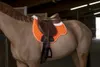 Norton Rückenschoner, Größe:Warmblut, Farbe:himmelblau Produktbild-Vorschau 9