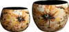 TS Collection - Blumentopf Crème de coton - Mini set mit 2 Voir les images du produit 1
