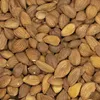 Noyaux d'abricots 1kg Voir les images du produit 3