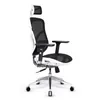 Diablo V-Basic Sedia ergonomica da ufficio Sedia Anteprima dell’immagine prodotto 1