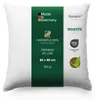 HANSKRUCHEN Daunenkissen 80x80 cm Allergiker freundlich 3 Produktbild-Vorschau 1