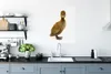 MuchoWow® Poster Baby-Ente schaut in die Kamera 60x80 cm - Produktbild-Vorschau 3