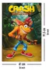 Plakát Crash Bandicoot Classic Crash 61x91,5cm Náhled obrázku produktu 5