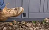 A person's work boot is stepping near a gray storage box on the ground, surrounded by fallen leaves. Náhled obrázku produktu