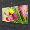 Acrylglasbilder 100x50 Wandbild Druck Tulpen Pflanzen Produktbild-Vorschau 2