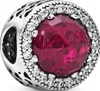 Pandora -Bead Charms 925_Sterling_Silber 791725NCC Produktbild-Vorschau 17