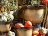 KERAZO Keramik Blumentopf Pflanzkübel Pflanztopf Venus m. Produktbild-Vorschau 2