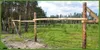 A wooden fence in a grassy field with trees in the background. Podgląd zdjęcia produktu