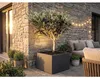 Palatino Exclusive Line Hochbeet/Pflanzkübel Clara verz. Produktbild-Vorschau 6