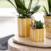 Kolibri Company | Geschenkset Mediterranean Sunset | Produktbild-Vorschau 3