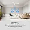 Klarstein Spin Doctor - Deckenventilator, 3 Flügel, Produktbild-Vorschau 4