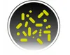 Sanitas | Biopräparat Sanidenn Tabs - 100 Stück - 96 + 4 Produktbild-Vorschau 4