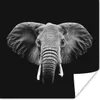 MuchoWow® Poster Elefant - Tiere - Schwarz - Weiß 50x50 cm Produktbild-Vorschau 1