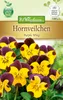 Artikelbild 1 von 'Hornveilchen Purple Wing' aus der Kategorie Hornveilchensamen Produktbild-Vorschau