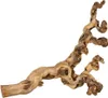 Weinrebe, wassergestrahlt 40–55 cm Produktbild-Vorschau 1