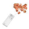 A string of pumpkin-shaped lights with a battery pack. Podgląd zdjęcia produktu
