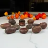 Dekosteine rot poliert 10 kg | Kieselsteine Garten 2-3 cm | Produktbild-Vorschau 2