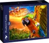 Bluebird Puzzle Papagáj - 1000 dielikov farebných puzzle Náhľad obrázku produktu 2