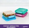 Sistema Lunch-Sandwich-Boxen | 450 ml | BPA-frei | 3 Stück Produktbild-Vorschau 3