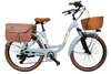 E-bike Venere Dolce Vita 26" avec panier et sacs- Gris Voir les images du produit 1