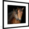 MuchoWow® Gerahmtes Poster Pferde - Liebe - Braun 40x40 cm Produktbild-Vorschau 1