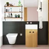 A bathroom scene with a wall-mounted shelf, toilet, and vanity. Produktbild-Vorschau