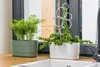 Satina 27 Länglicher Blumentopf mit Untersetzer | Weiß Produktbild-Vorschau 4