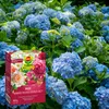 Langzeitdünger für Rosen 850 g effizient Produktbild-Vorschau 9