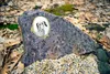 Dobrman - targa commemorativa con immagine di cane, lapide Anteprima dell’immagine prodotto 6
