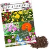 Blumensamen Balkonkasten Mischung - Farbenfrohe Blumen mit Produktbild-Vorschau 1